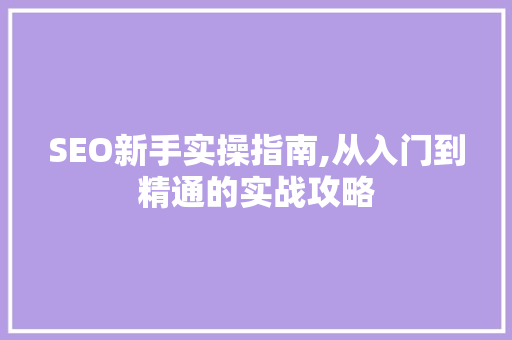 SEO新手实操指南,从入门到精通的实战攻略
