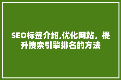 SEO标签介绍,优化网站，提升搜索引擎排名的方法 百度SEO