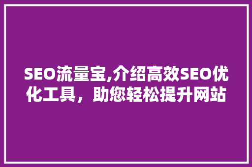 SEO流量宝,介绍高效SEO优化工具，助您轻松提升网站流量 必应SEO