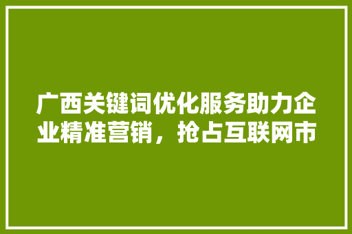 广西关键词优化服务助力企业精准营销，抢占互联网市场先机