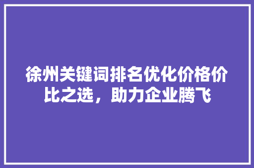 徐州关键词排名优化价格价比之选，助力企业腾飞