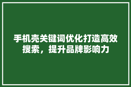 手机壳关键词优化打造高效搜索，提升品牌影响力 百度SEO