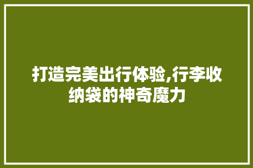 打造完美出行体验,行李收纳袋的神奇魔力 百度SEO
