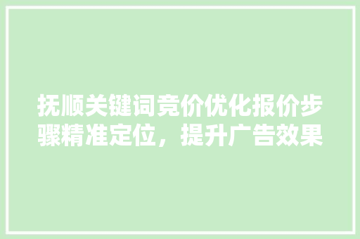 抚顺关键词竞价优化报价步骤精准定位，提升广告效果 百度SEO