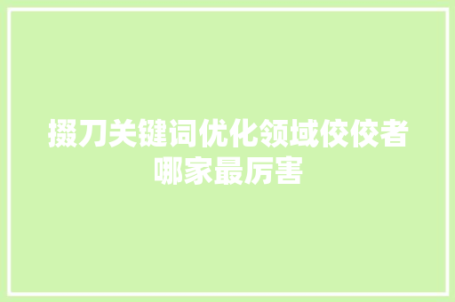 掇刀关键词优化领域佼佼者哪家最厉害