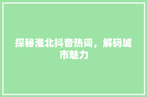 探秘淮北抖音热词，解码城市魅力 百度SEO