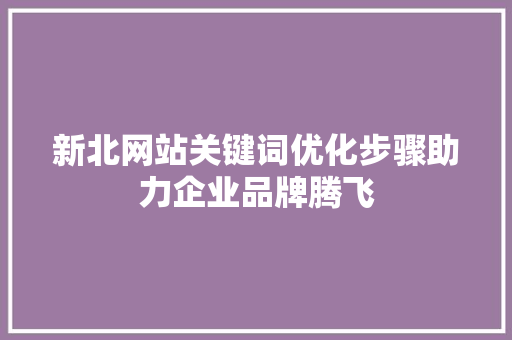 新北网站关键词优化步骤助力企业品牌腾飞 百度SEO