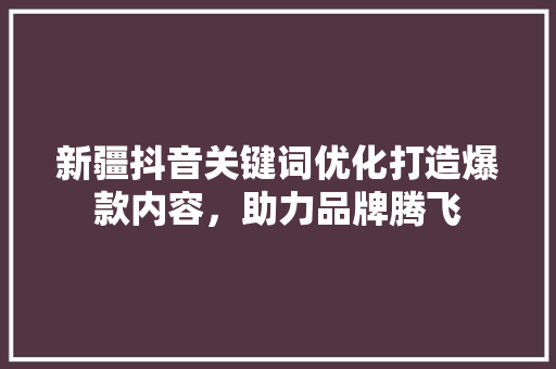 新疆抖音关键词优化打造爆款内容，助力品牌腾飞 百度SEO