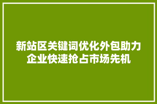 新站区关键词优化外包助力企业快速抢占市场先机