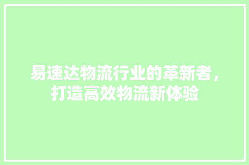 易速达物流行业的革新者，打造高效物流新体验 百度SEO