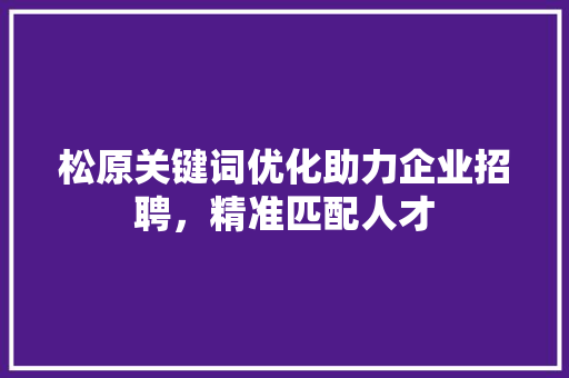 松原关键词优化助力企业招聘，精准匹配人才 百度SEO