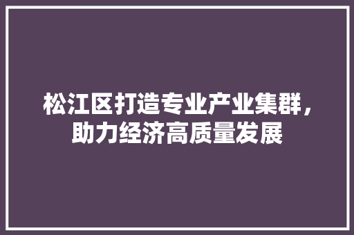 松江区打造专业产业集群，助力经济高质量发展 百度SEO