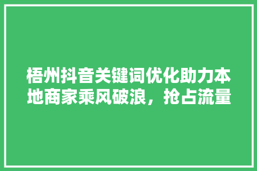 梧州抖音关键词优化助力本地商家乘风破浪，抢占流量风口 百度SEO