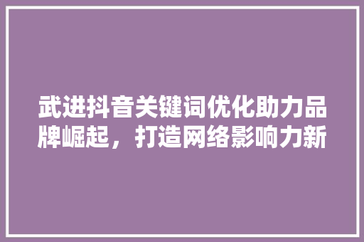 武进抖音关键词优化助力品牌崛起，打造网络影响力新高度 神马SEO