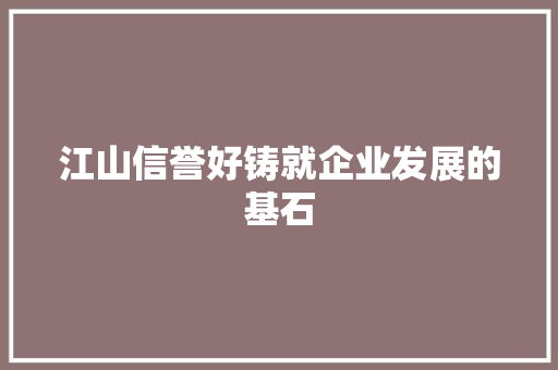 江山信誉好铸就企业发展的基石 百度SEO