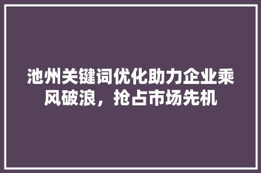 池州关键词优化助力企业乘风破浪，抢占市场先机 百度SEO