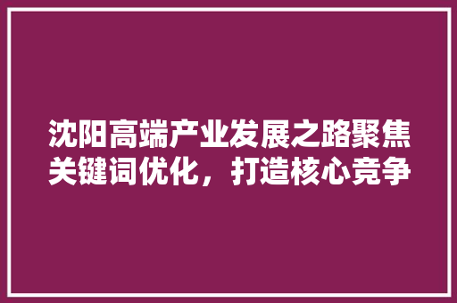 沈阳高端产业发展之路聚焦关键词优化，打造核心竞争力 GoogleSEO