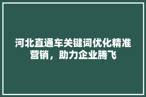 河北直通车关键词优化精准营销，助力企业腾飞 搜狗SEO