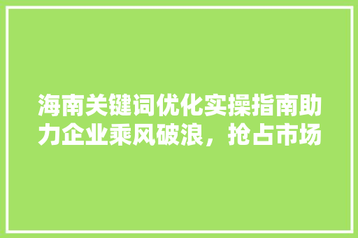 海南关键词优化实操指南助力企业乘风破浪，抢占市场先机 神马SEO