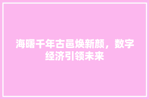 海曙千年古邑焕新颜，数字经济引领未来 百度SEO