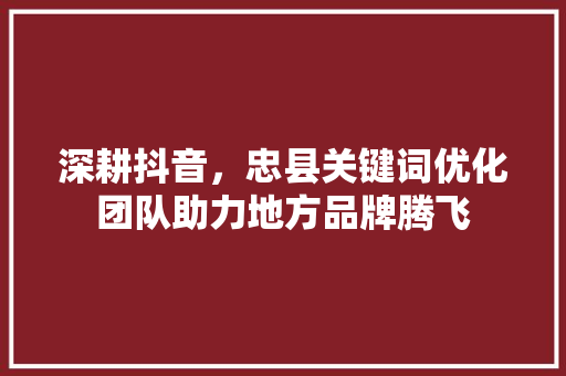 深耕抖音，忠县关键词优化团队助力地方品牌腾飞 必应SEO