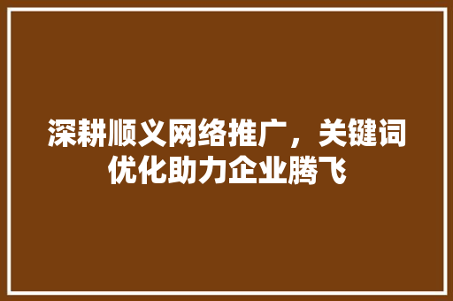 深耕顺义网络推广，关键词优化助力企业腾飞 神马SEO