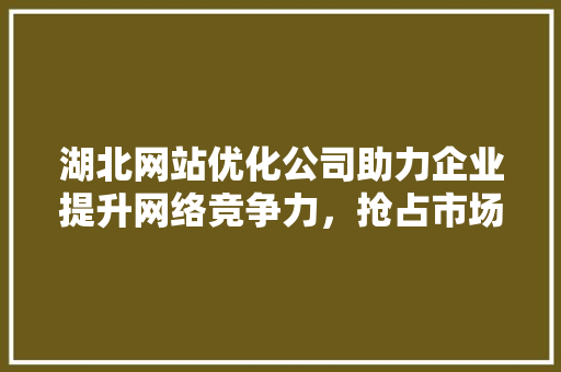 湖北网站优化公司助力企业提升网络竞争力，抢占市场先机 百度SEO