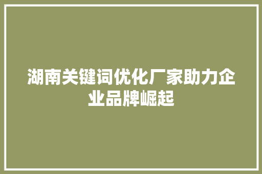 湖南关键词优化厂家助力企业品牌崛起 神马SEO