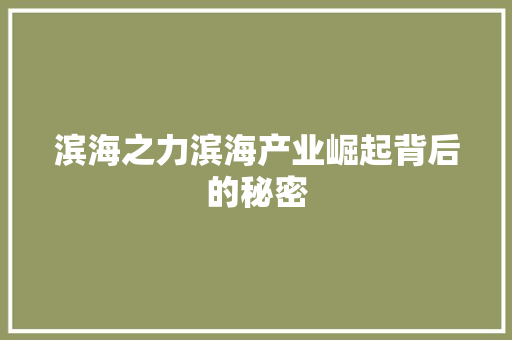 滨海之力滨海产业崛起背后的秘密 搜狗SEO