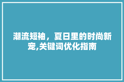 潮流短袖，夏日里的时尚新宠,关键词优化指南 百度SEO