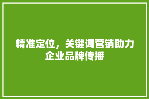 精准定位，关键词营销助力企业品牌传播 GoogleSEO