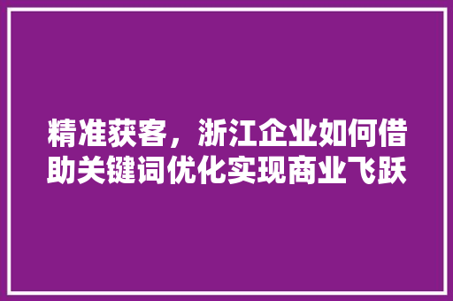 精准获客，浙江企业如何借助关键词优化实现商业飞跃 GoogleSEO