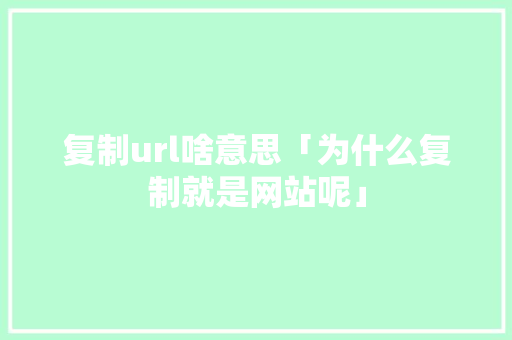 复制url啥意思「为什么复制就是网站呢」 复制url啥意思「为什么复制就是网站呢」 GoogleSEO