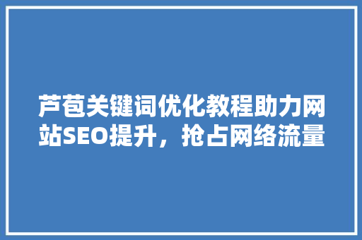 芦苞关键词优化教程助力网站SEO提升，抢占网络流量高地