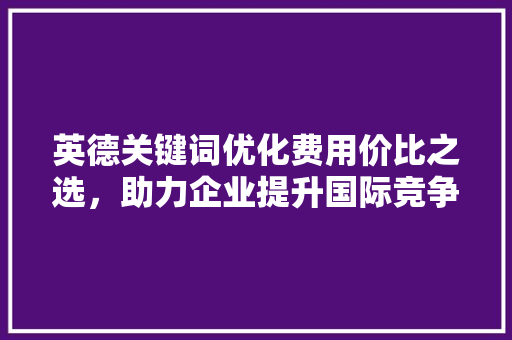 英德关键词优化费用价比之选，助力企业提升国际竞争力