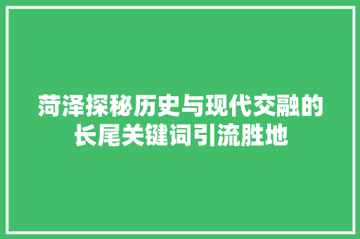 菏泽探秘历史与现代交融的长尾关键词引流胜地