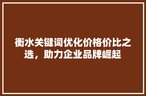 衡水关键词优化价格价比之选，助力企业品牌崛起 搜狗SEO