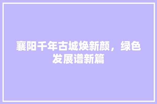 襄阳千年古城焕新颜，绿色发展谱新篇 必应SEO