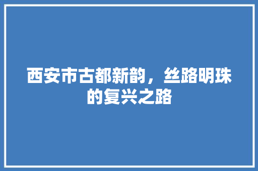西安市古都新韵，丝路明珠的复兴之路 GoogleSEO