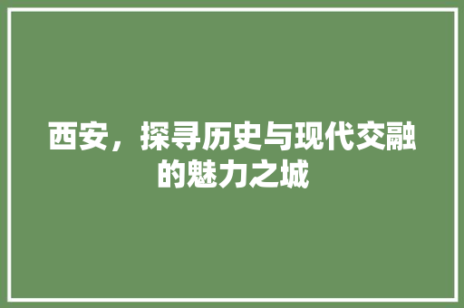 西安，探寻历史与现代交融的魅力之城 百度SEO