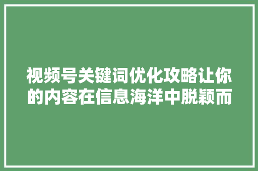 视频号关键词优化攻略让你的内容在信息海洋中脱颖而出 必应SEO