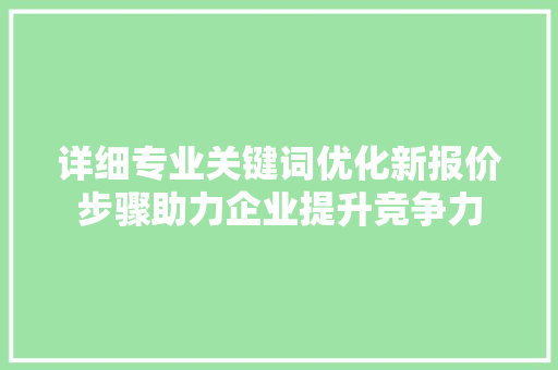 详细专业关键词优化新报价步骤助力企业提升竞争力