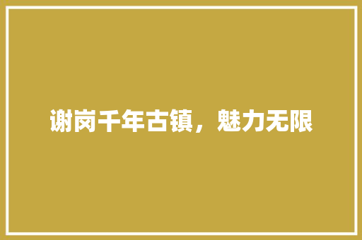 谢岗千年古镇，魅力无限
