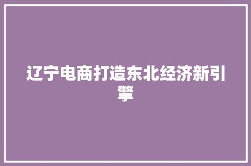辽宁电商打造东北经济新引擎 百度SEO