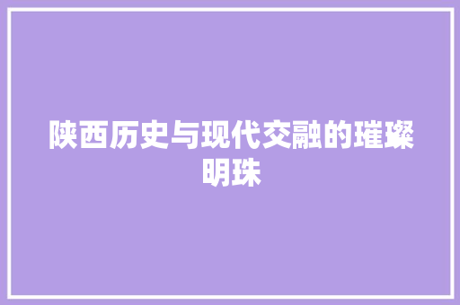 陕西历史与现代交融的璀璨明珠 神马SEO
