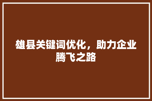 雄县关键词优化，助力企业腾飞之路 GoogleSEO