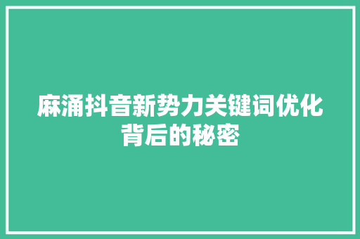 麻涌抖音新势力关键词优化背后的秘密 百度SEO