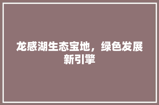 龙感湖生态宝地，绿色发展新引擎 神马SEO