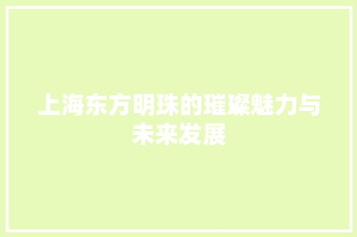 上海东方明珠的璀璨魅力与未来发展 必应SEO