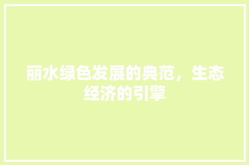 丽水绿色发展的典范，生态经济的引擎 百度SEO